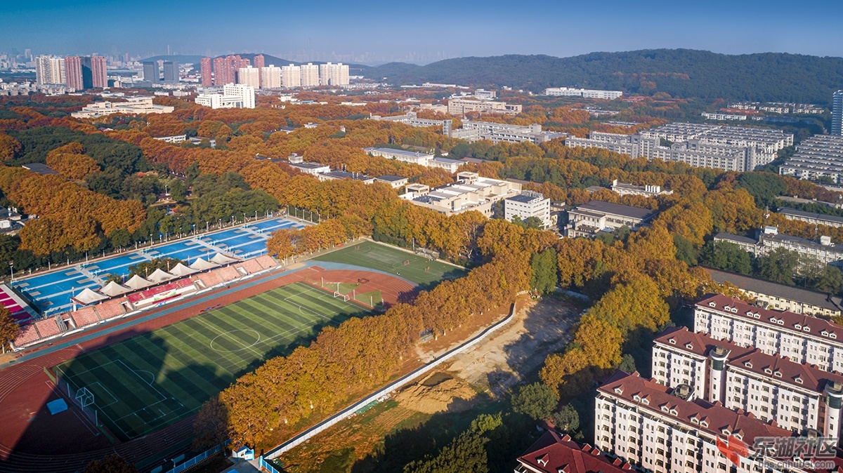 1.武汉高校层林尽染曾院平摄影 .jpg