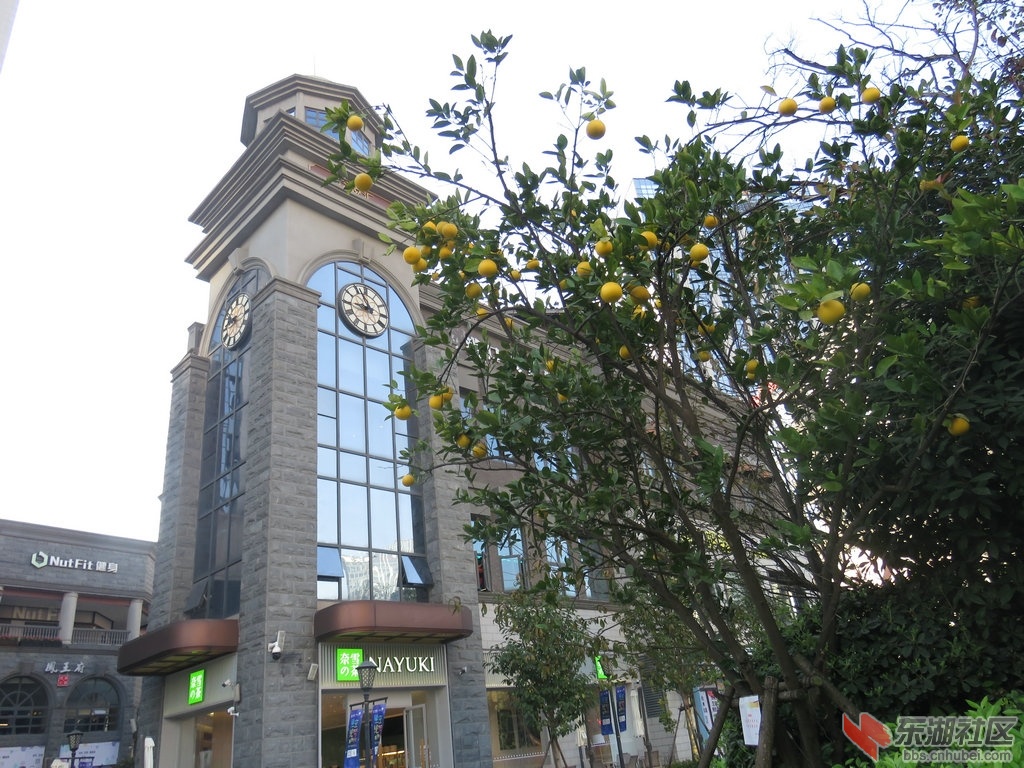 IMG_6734_副本.JPG