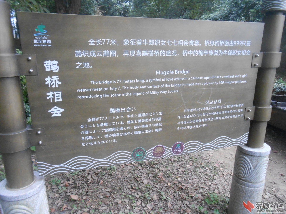DSCN4681.JPG