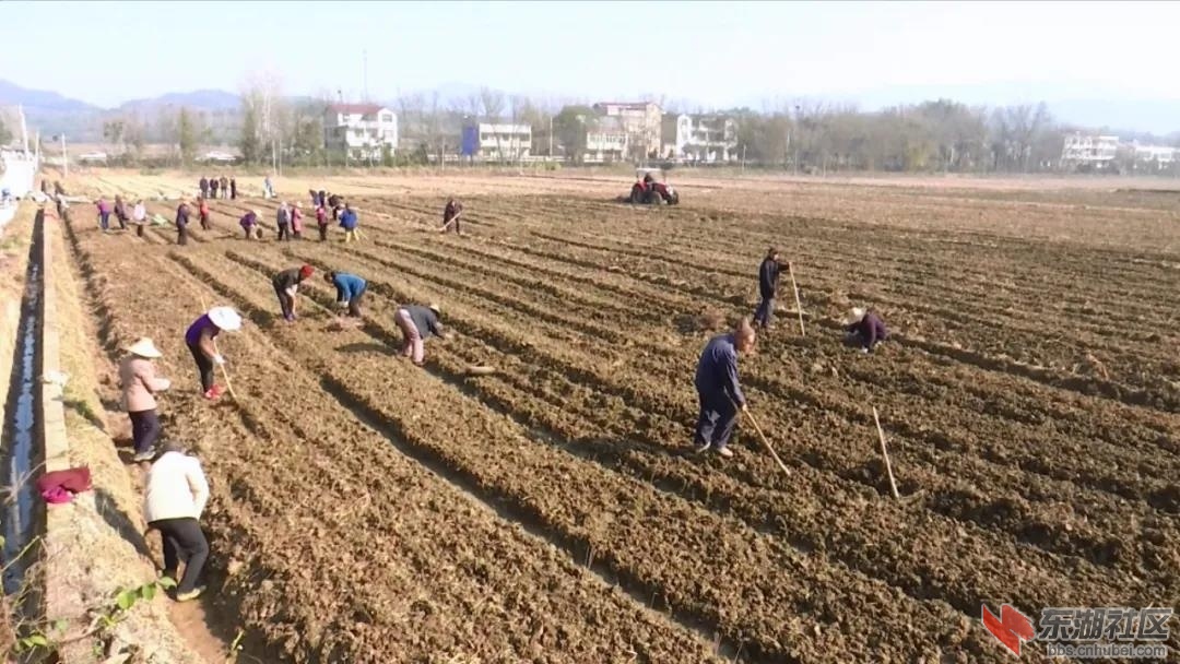 微信图片_20201126203140.jpg