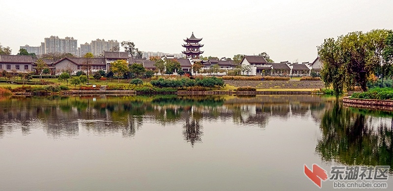 7    DSC00357_副本.jpg