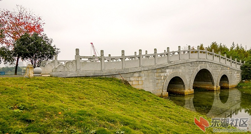 16    DSC00387_副本.jpg