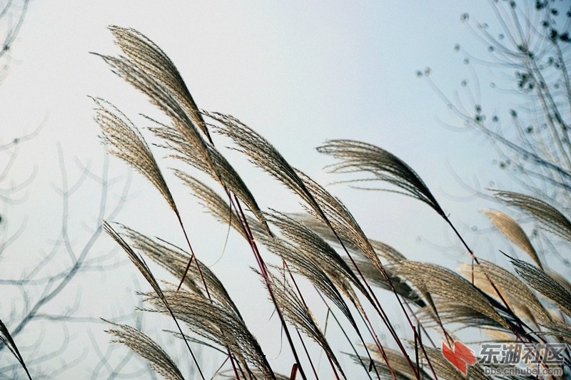 114950f3nem9g99m3ad00n.jpg