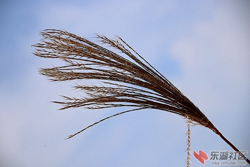 114950bqqm1hj070wj08.jpg