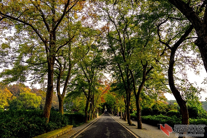 11    DSC00466_副本.jpg