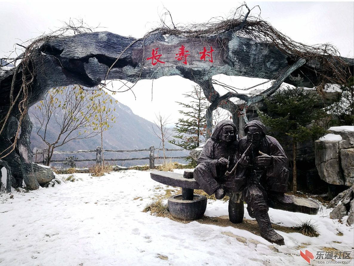 qq图片20201204005420.png