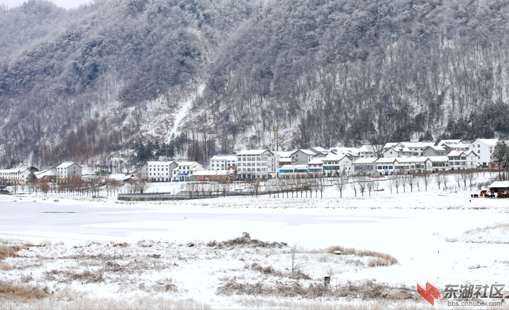 qq图片20201204005520.png