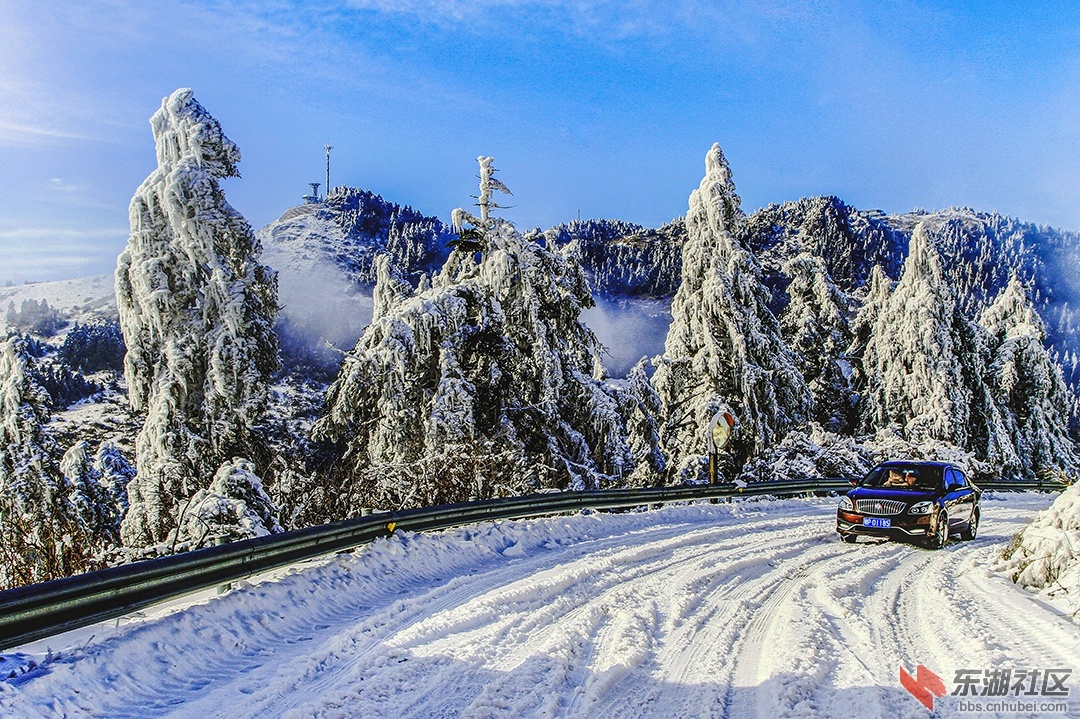 神农顶雪景58.jpg