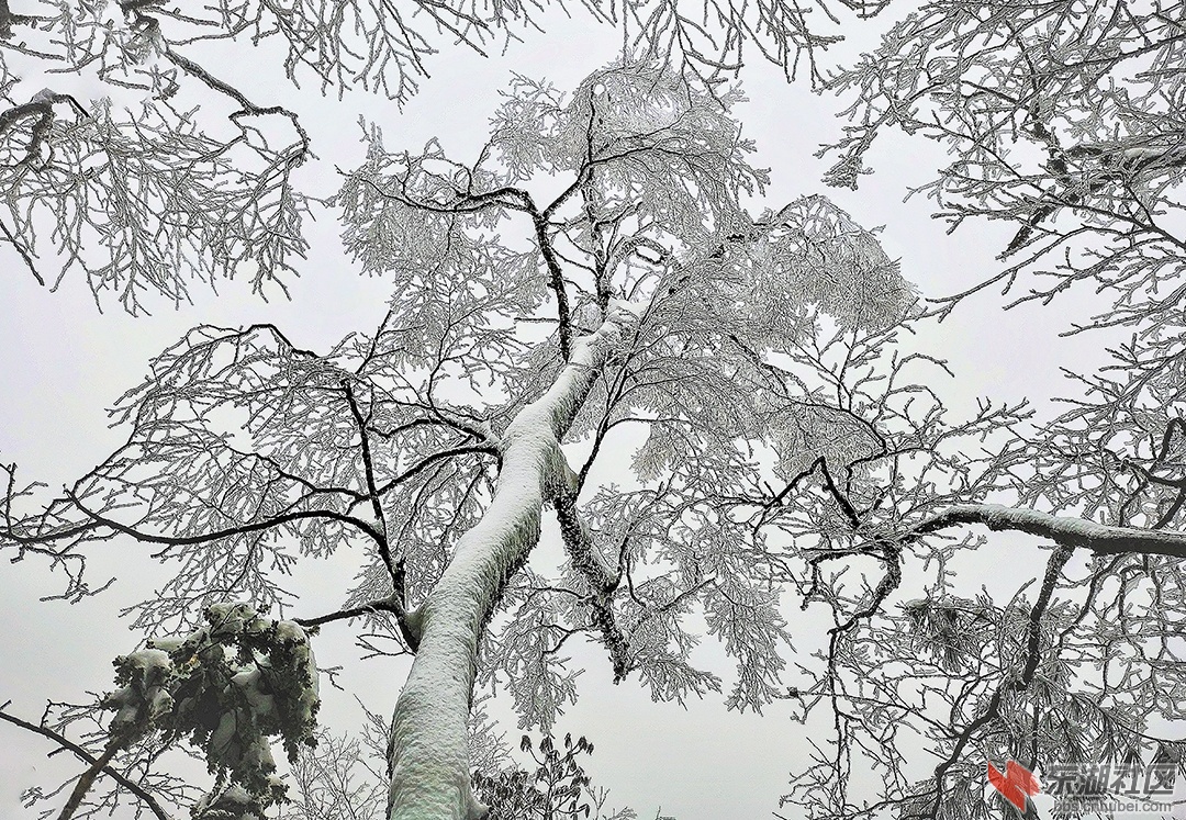 燕天雪景1.jpg