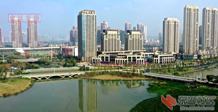 童汉芳摄 无人机看凤凰湖边的2座无名桥2020.11 - 副本.JPG