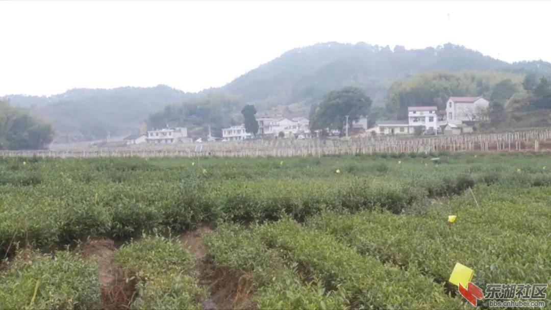 微信图片_20201209205916.jpg