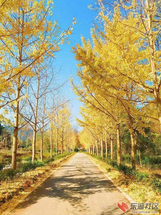 微信图片_20201211192103.jpg