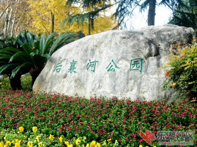 DSCN5218.JPG