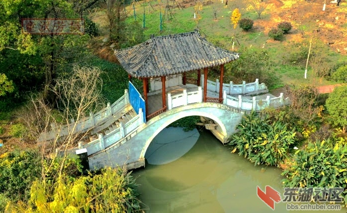 童汉芳摄 无人机看亭桥DJI_0201 - 副本.JPG
