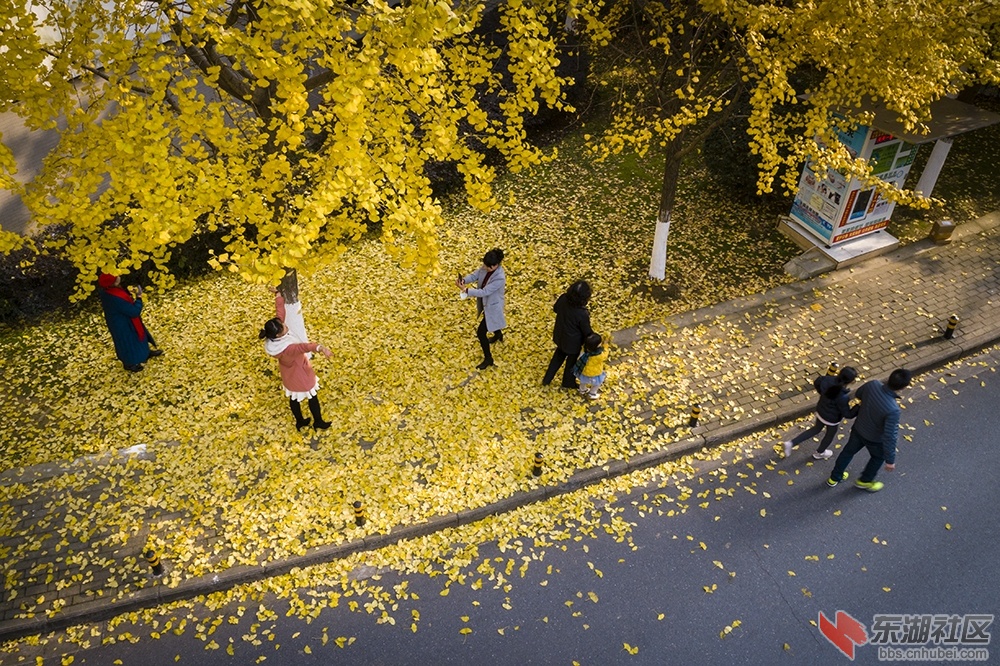 4.小区自有黄金道 曾院平摄影.jpg