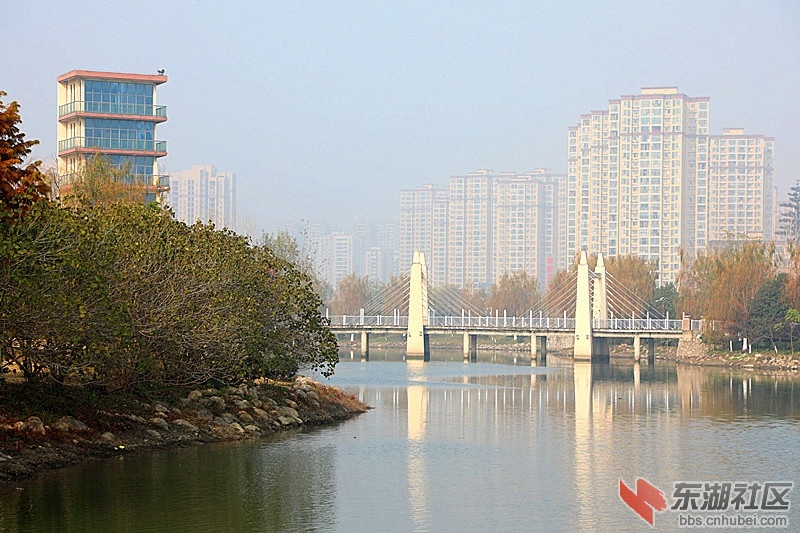 142010nc30qsbspp3psqkc.jpg