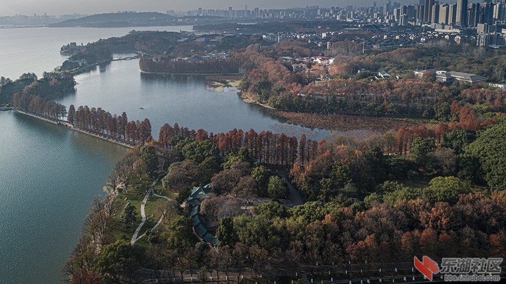 湖中之岛曾院平摄影.jpg