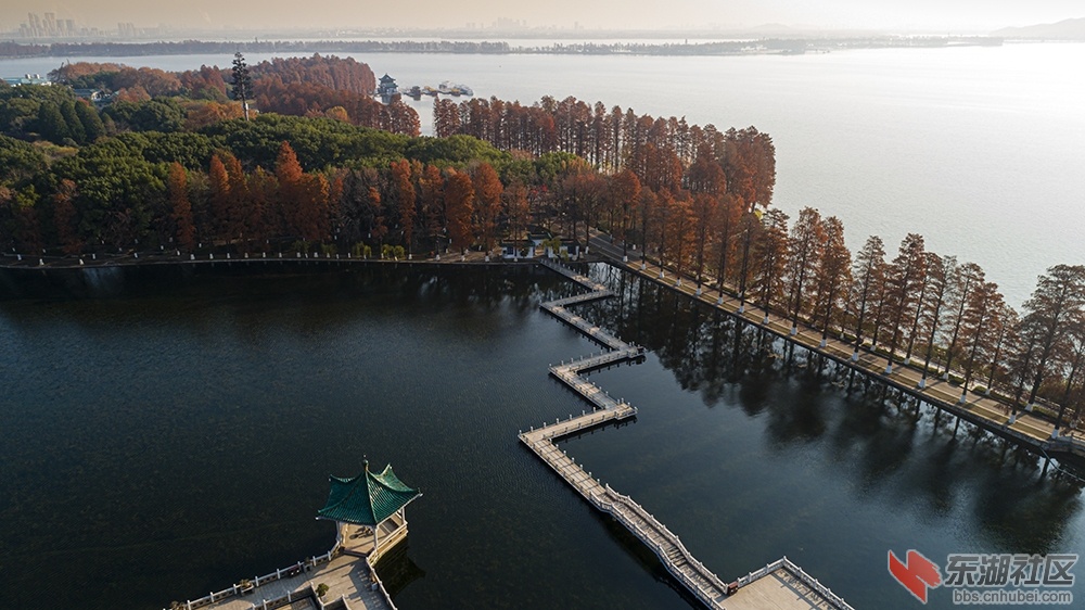 4.湖中之小道 曾院平摄影.jpg