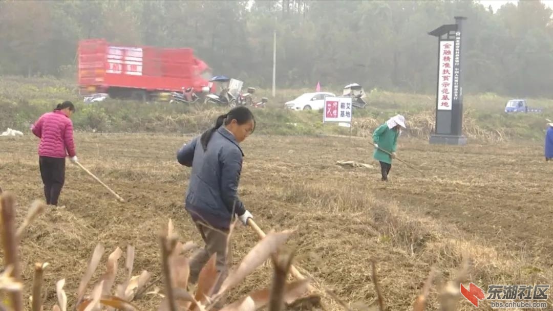微信图片_20201217190112.jpg