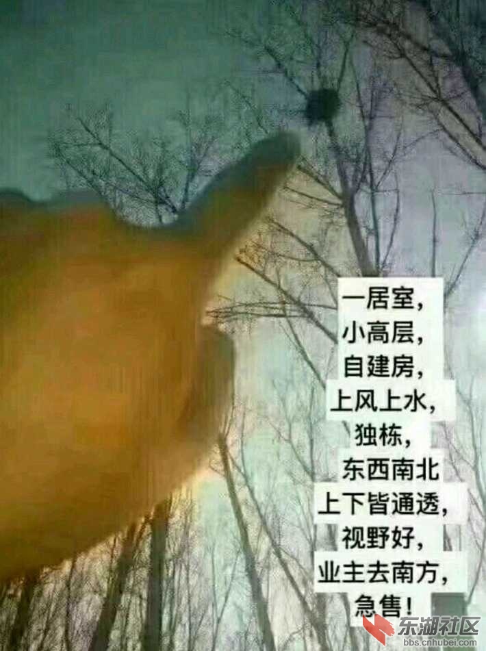 e1616a8f614de41df3bd3cbf0ff43d78.jpg