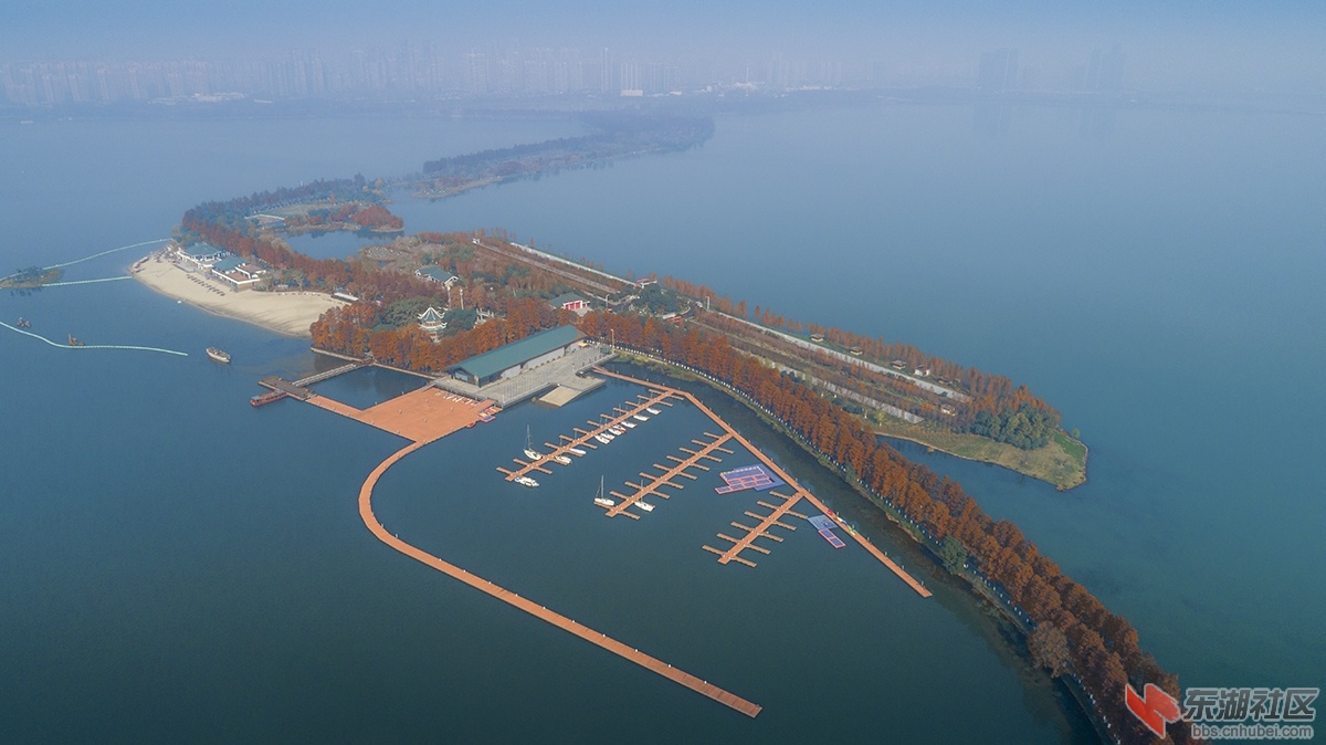 7.空俯瞰武汉东湖“黄金道”.jpg
