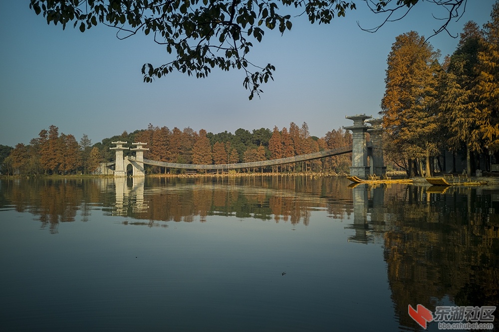 8.武汉东湖落雁岛魅影曾院平摄影.jpg