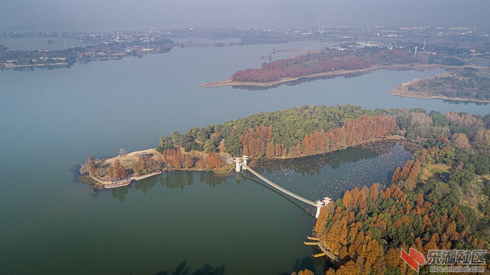 3.武汉东湖落雁岛魅影曾院平摄影.jpg
