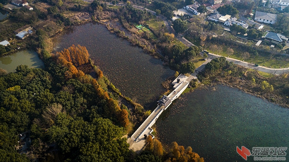 4.武汉东湖落雁岛魅影曾院平摄影.jpg