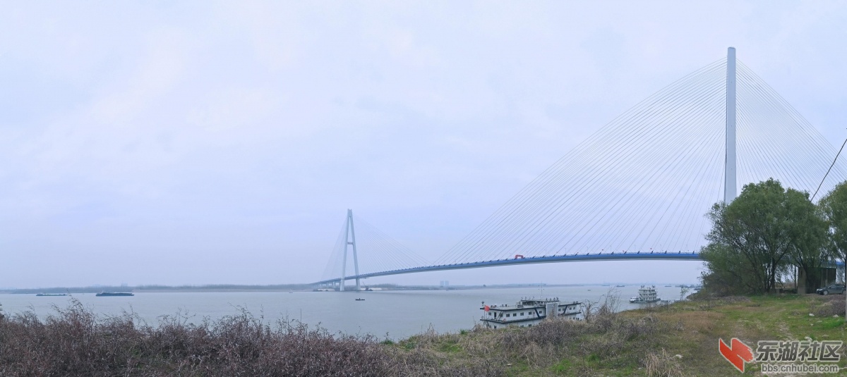 全景图-1.jpg