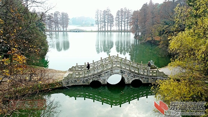 童汉芳摄 无人机看东湖梅园 暗香桥DJI_0765 - 副本.JPG