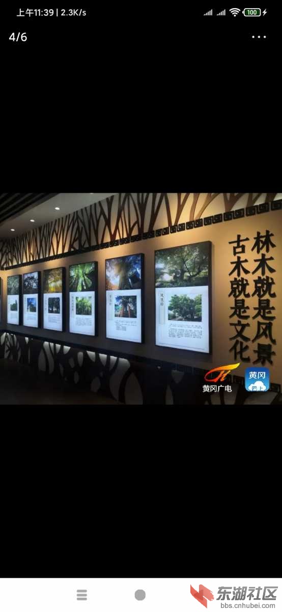 Screenshot_2020-12-26-11-39-03-292_com.ss.android.article.news.jpg