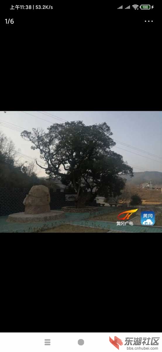 Screenshot_2020-12-26-11-38-46-988_com.ss.android.article.news.jpg