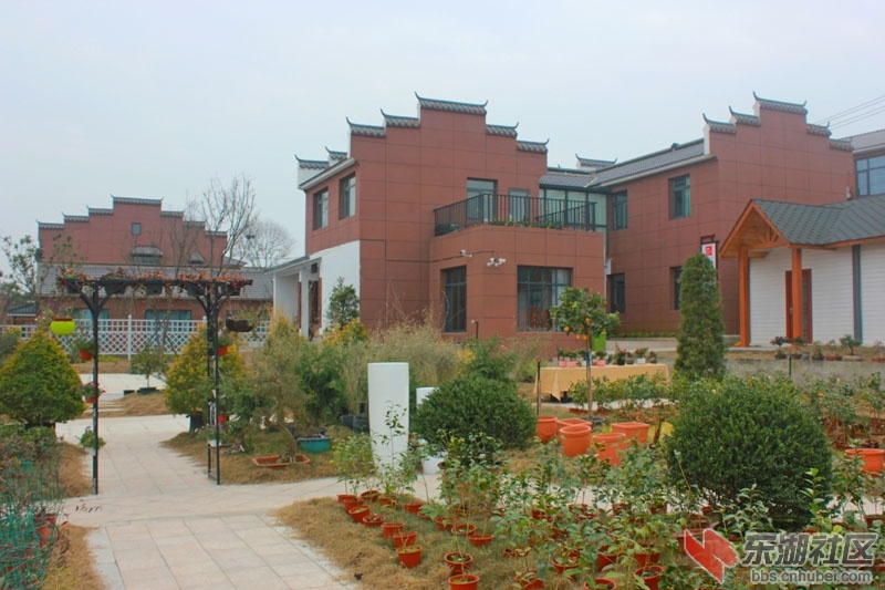 mmexport1608642281609.jpg