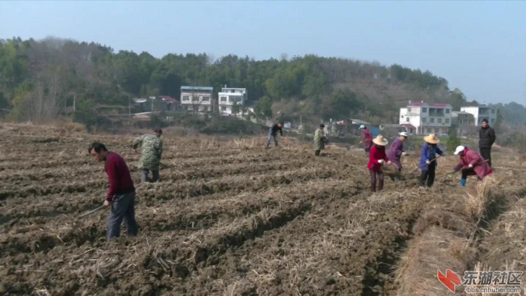 微信图片_20201228205547.jpg