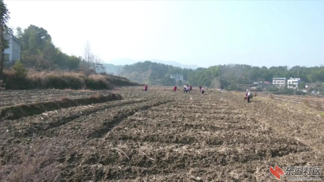微信图片_20201228205551.jpg