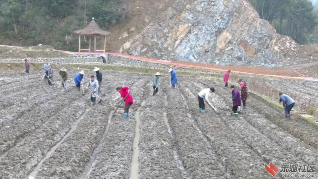 微信图片_20201229203107.jpg