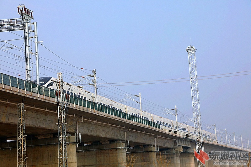 140425qdw8duddrdoz9iww.jpg