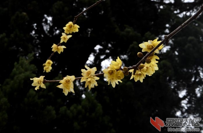 DSC_1845 - 副本.JPG