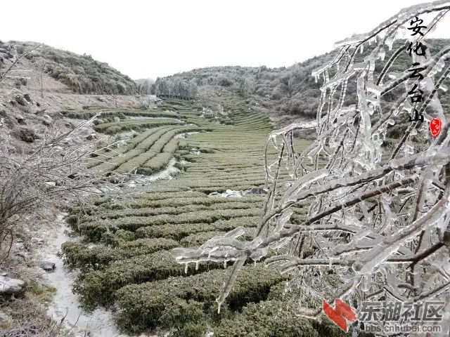 微信图片_20201215141822.jpg