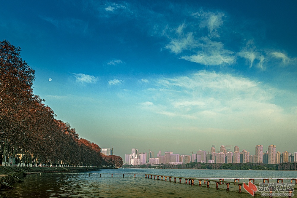 3.武汉东湖清晨的一缕阳光 曾院平摄影.jpg