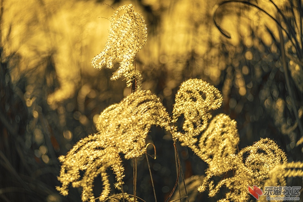 8.花曾院平摄影.jpg