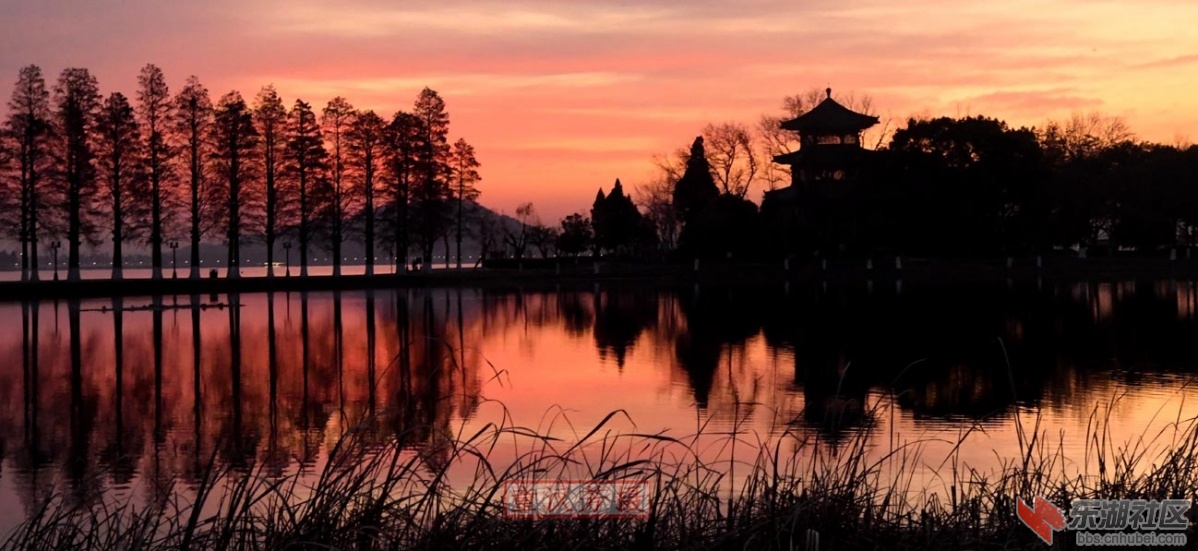 DSC_1955 - 副本 - 副本.JPG
