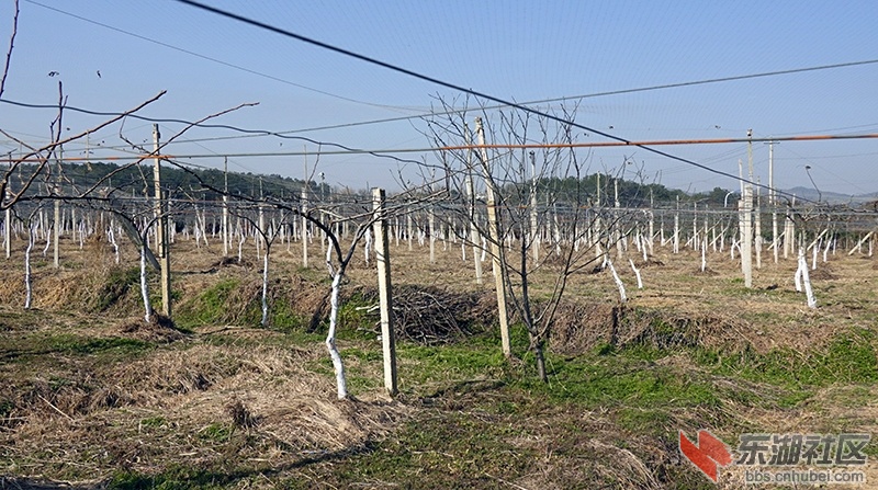 8    DSC01254_副本.jpg