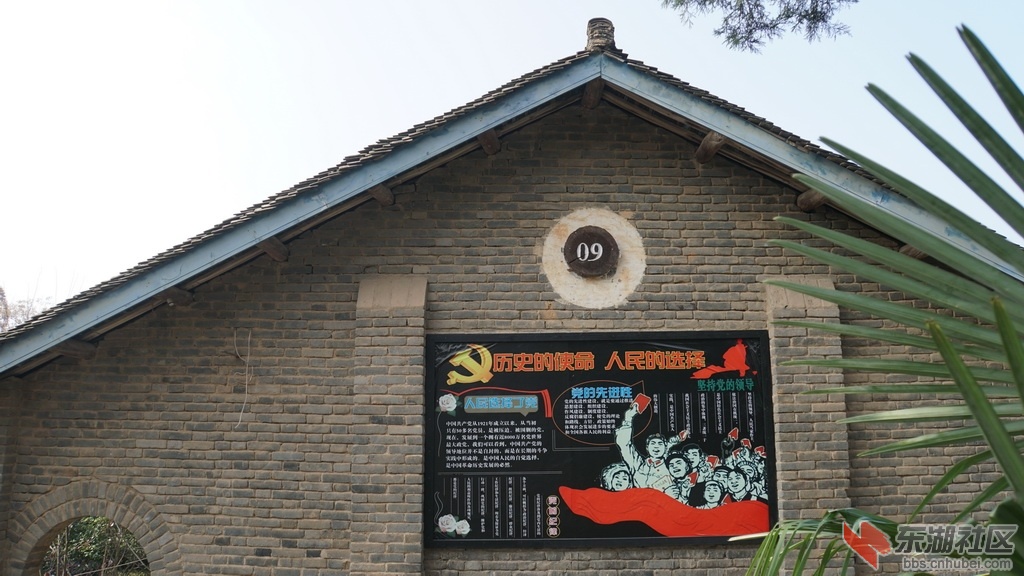 DSC03346_调整大小.JPG