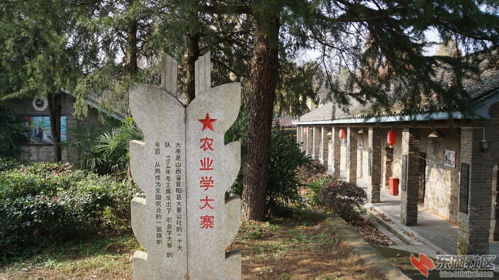DSC03355_调整大小.JPG