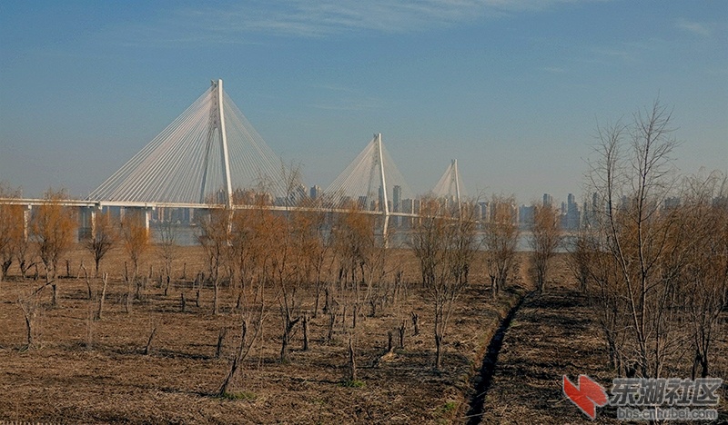 5    DSC01346_副本.jpg