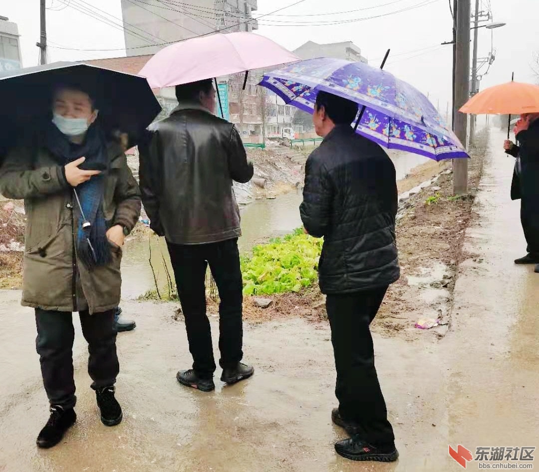 梅川镇桑梓园社区邀请上海联创设计专家来教厂街小区调研