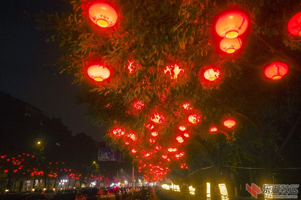 大红灯笼高高挂 曾院平摄影.jpg