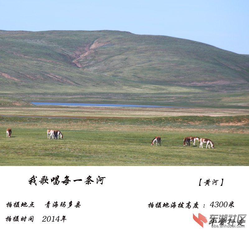 178-1.jpg