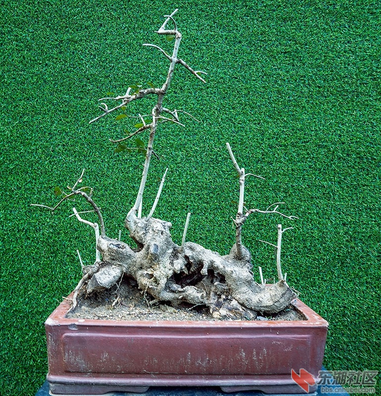 3    DSC01479_副本.jpg